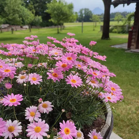 Schoberkurve * Raubling