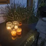 Schoberkurve
