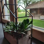 Schoberkurve *